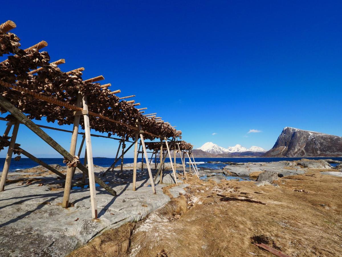 Mortsund Lodge Lofoten Leknes Exterior foto